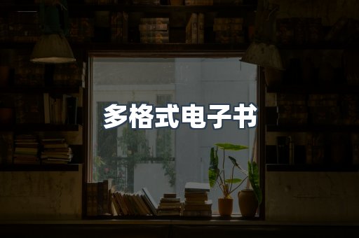 多格式电子书